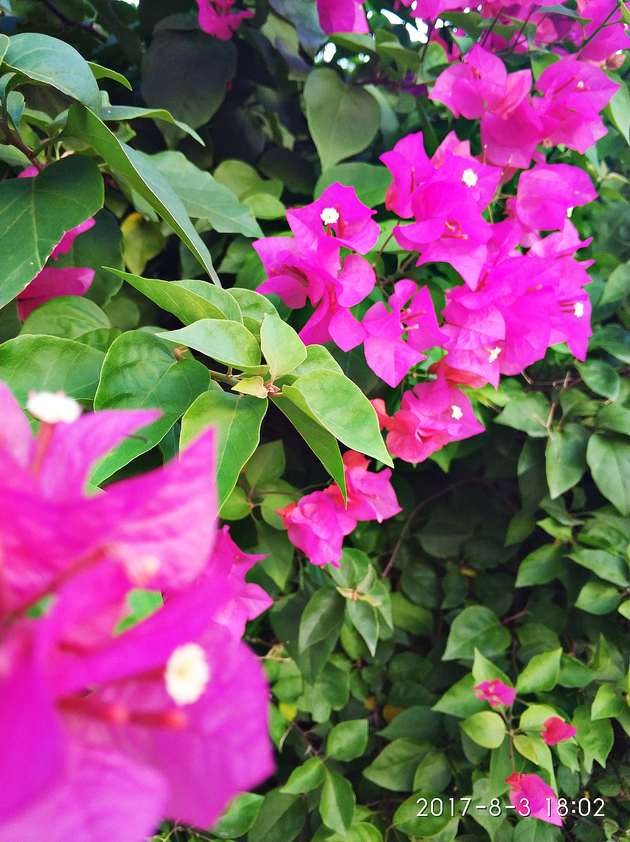 近期整理出了寥寥无几的景，大部分是夜猫子时间拍摄的（图ZMTE3MTc3NzU2） - 风光摄影 - 站酷设计师斯乌丶苏原创素材 - 站酷ZCOOL