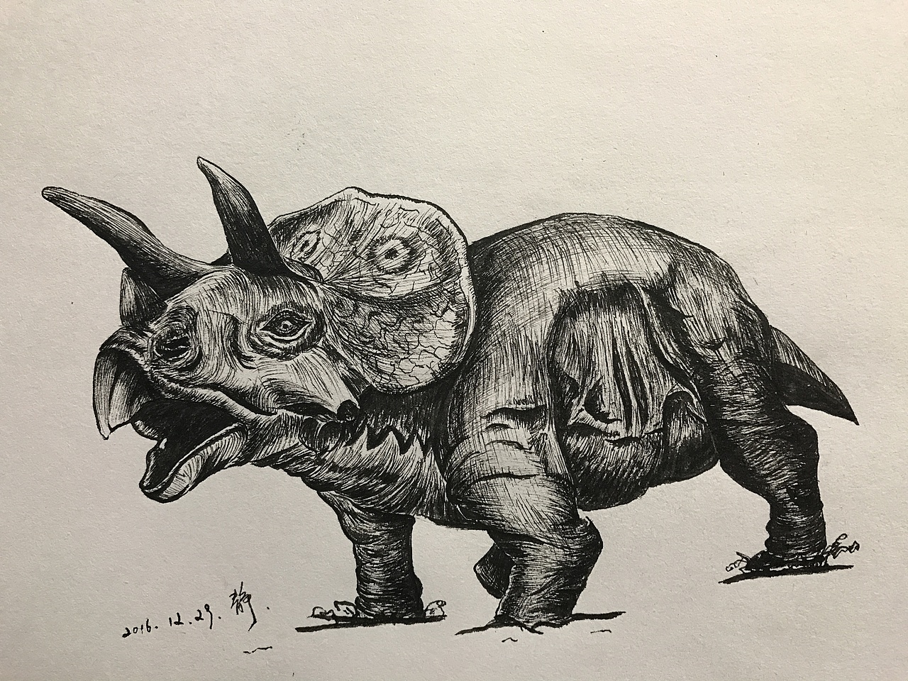 插画恐龙系列之三角龙