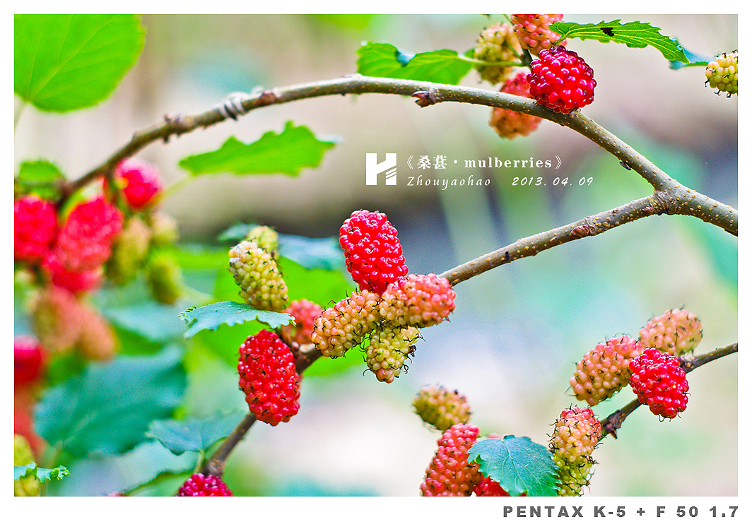 《桑葚.mulberries》（图ZODk2MDQyOA==） - 产品摄影 - 站酷设计师haodychou原创素材 - 站酷ZCOOL