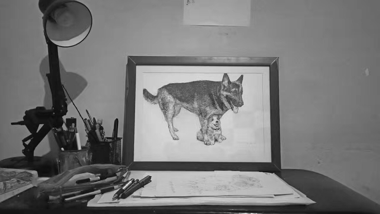 超写实黑白动物手绘