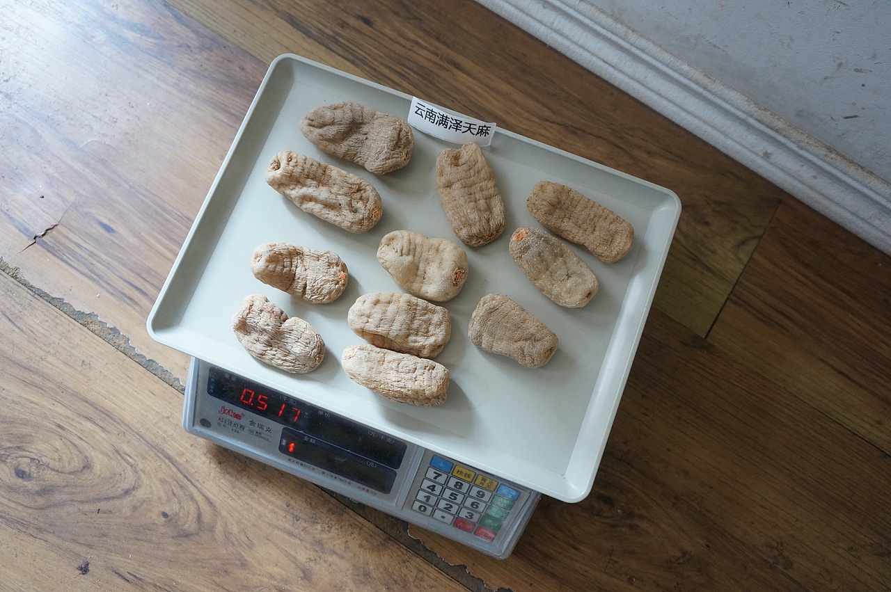 云南满泽天麻 昭通小草坝天麻 干天麻