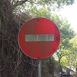 阿蒲呦的头像