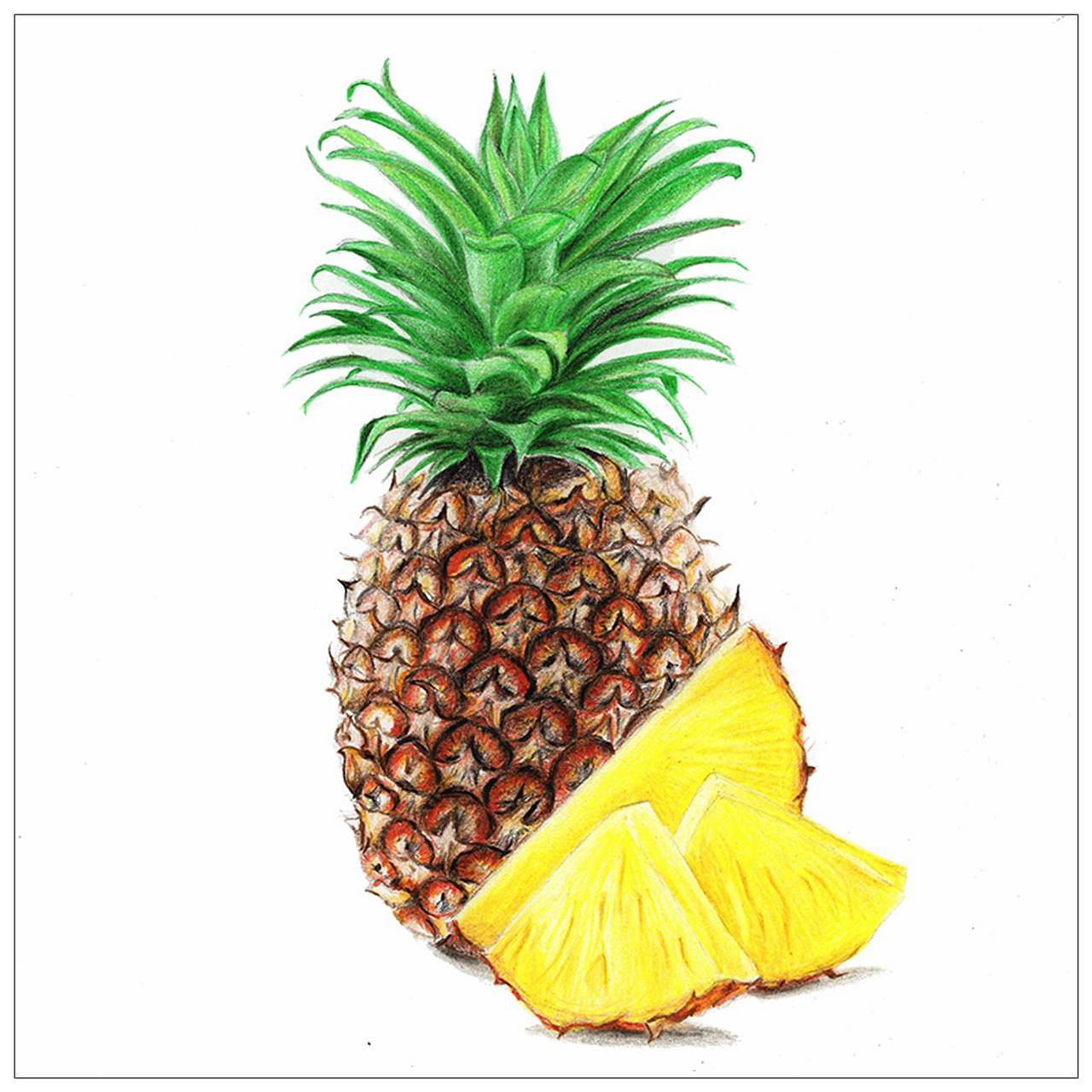 【驴大萌彩铅】手绘24节气水果图鉴 谷雨菠萝