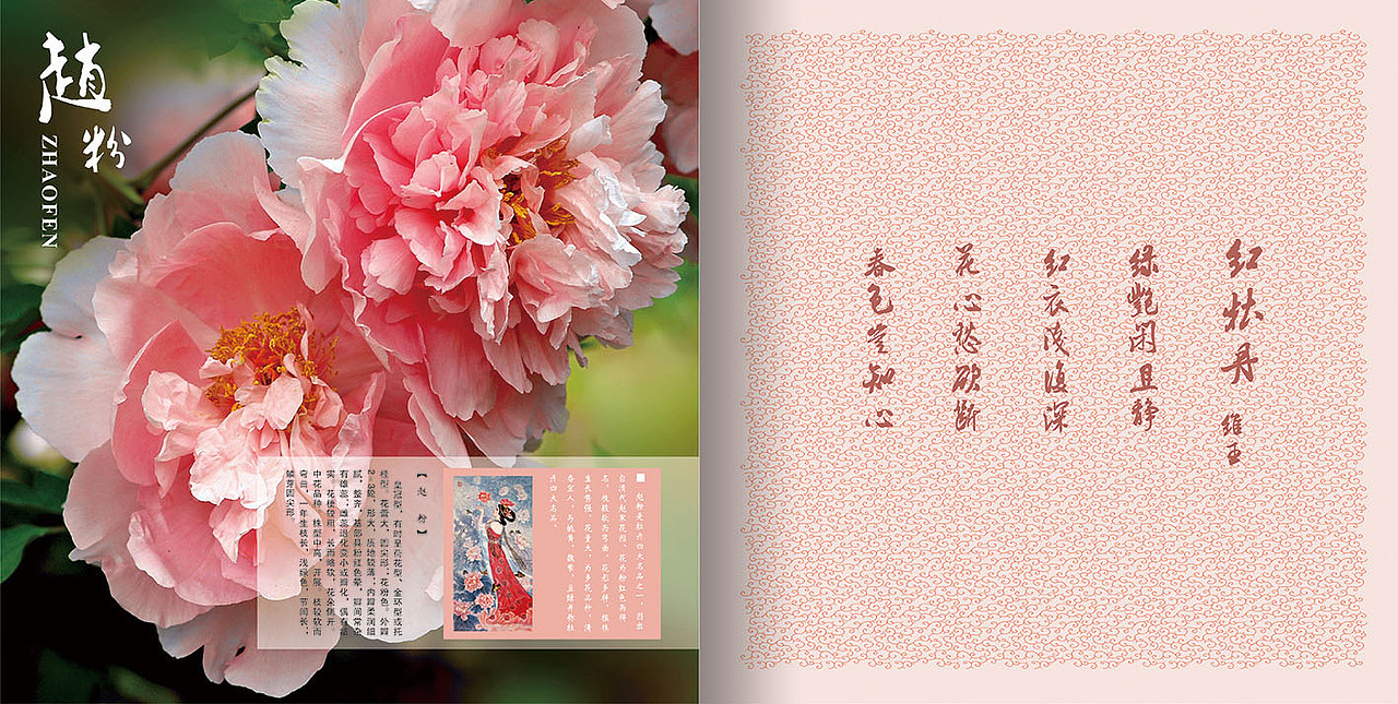 画册设计 洛阳旅游文化2--無设计 栖鹏（图ZMjE3NzU1MjQ=） - 书籍/画册 - 站酷设计师栖鹏原创素材 - 站酷ZCOOL