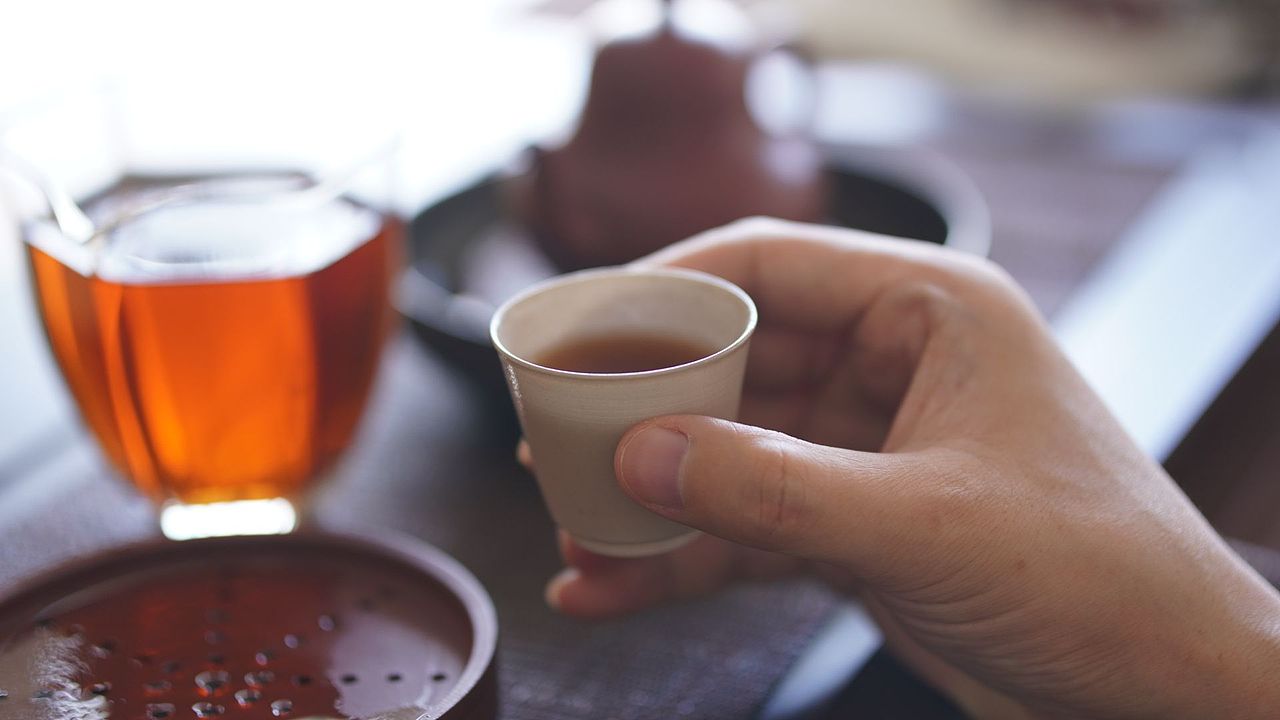 昆明教场路游记,汲浄斋草书创作