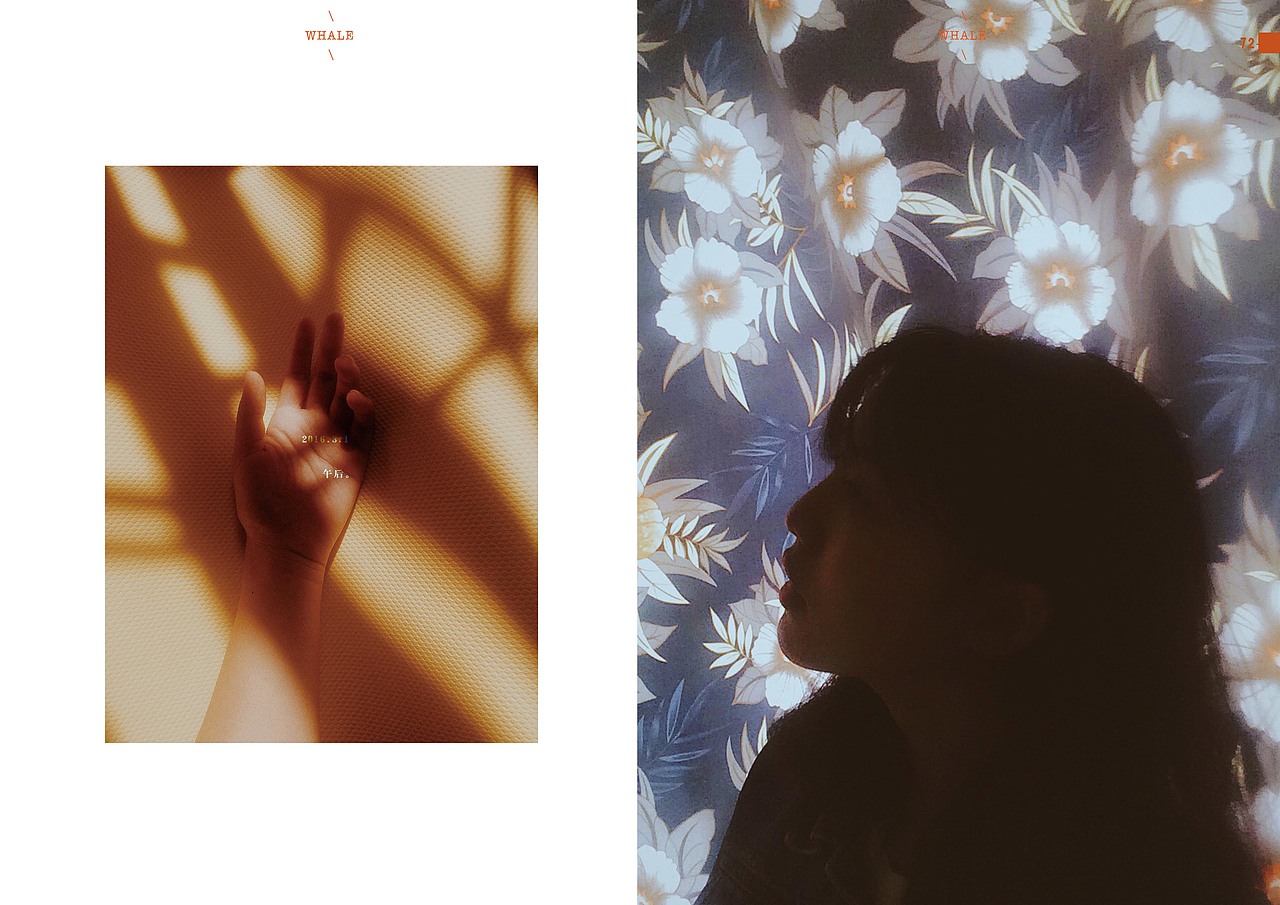 我眼中的所有 | 摄影/设计