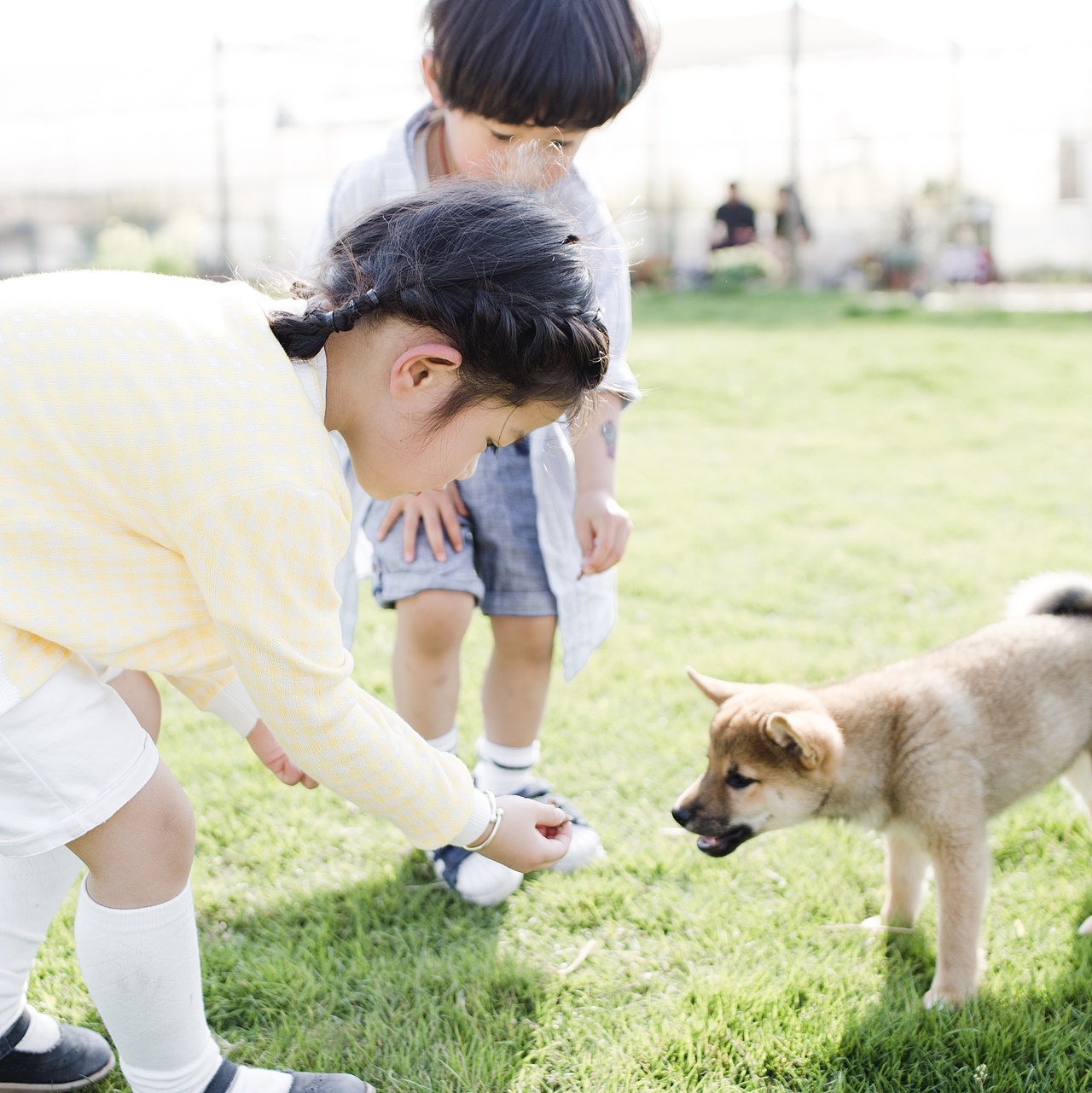 夏日童真（图ZMjEwNDEyMzgw） - 人像摄影 - 站酷设计师摄影师Amphe原创素材 - 站酷ZCOOL