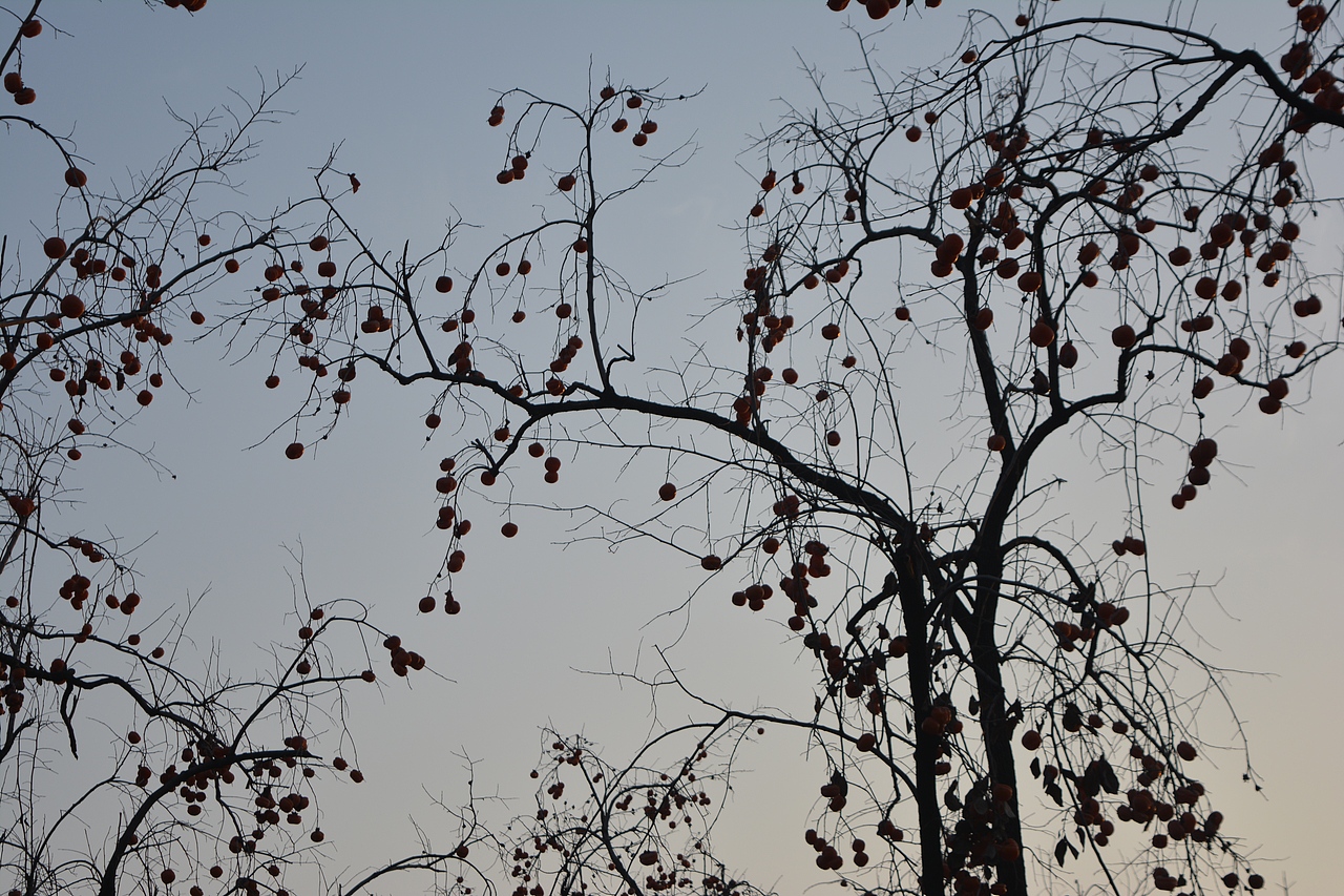 好美！震撼到我的不只是色彩～（图ZNjQ2MjI0NTY=） - 环境/建筑摄影 - 站酷设计师我的瞬间艺术原创素材 - 站酷ZCOOL