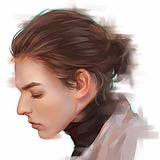 我是一只鸟的头像