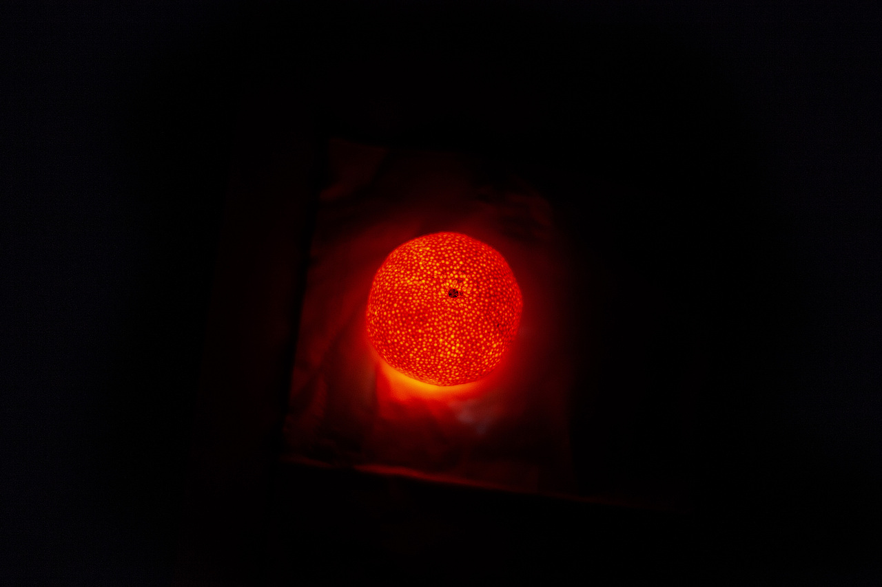 水果产品拍摄练习