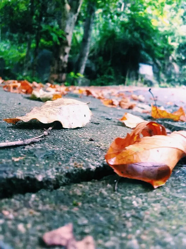 个人p（图ZNDg4OTEwNDA=） - 风光摄影 - 站酷设计师爱你的章鱼哥原创素材 - 站酷ZCOOL