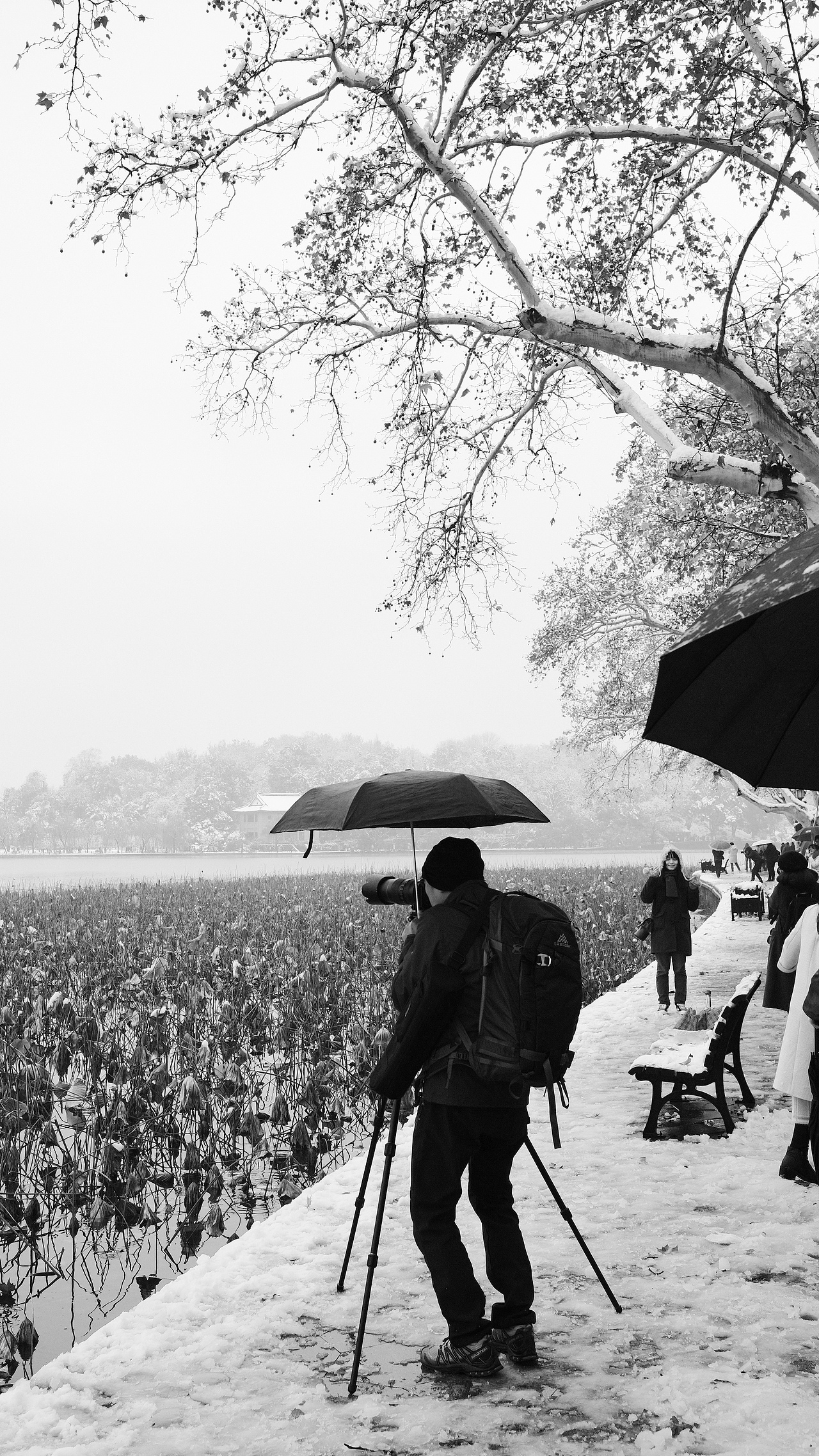 【纪实街拍】杭州18年雪（图ZMjQxNzIxNzI0） - 人文/纪实摄影 - 站酷设计师濷潶原创素材 - 站酷ZCOOL