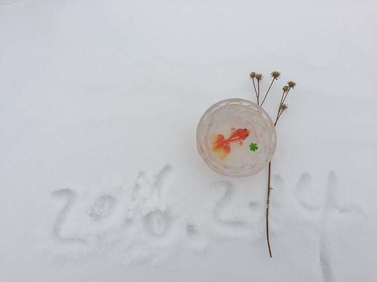 连年有鱼2016（图ZNDE5OTEzNjg=） - 工艺品设计 - 站酷设计师6律动7原创素材 - 站酷ZCOOL