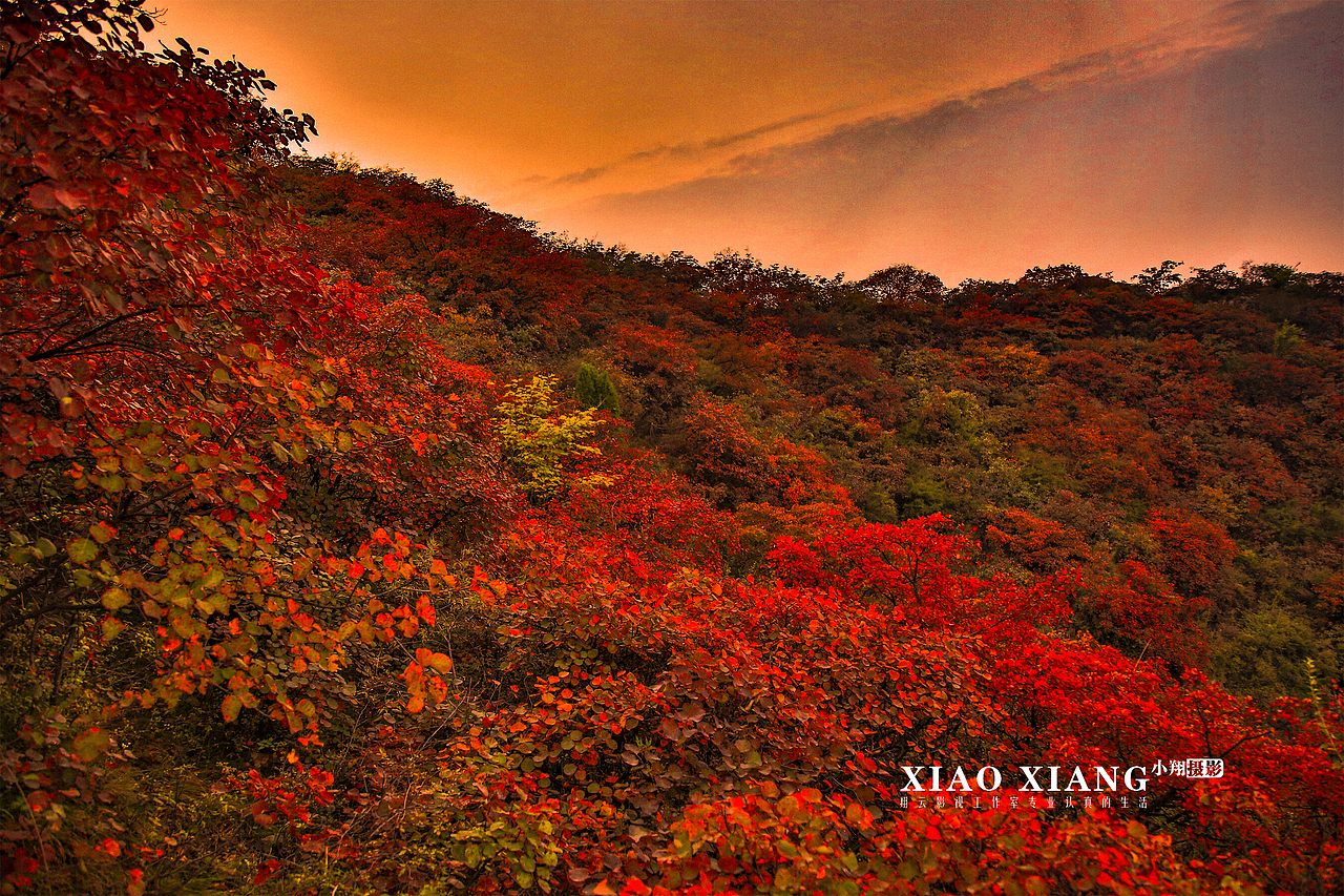 蔡节红叶（图ZOTM5OTM5NzI=） - 风光摄影 - 站酷设计师lixiangpeng1122原创素材 - 站酷ZCOOL