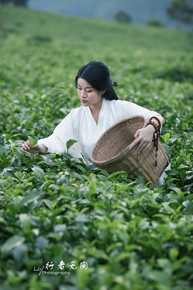 茶园&秋语（图ZMjc2NjE0MzUy） - 人像摄影 - 站酷设计师广州摄影师罗玲荣原创素材 - 站酷ZCOOL