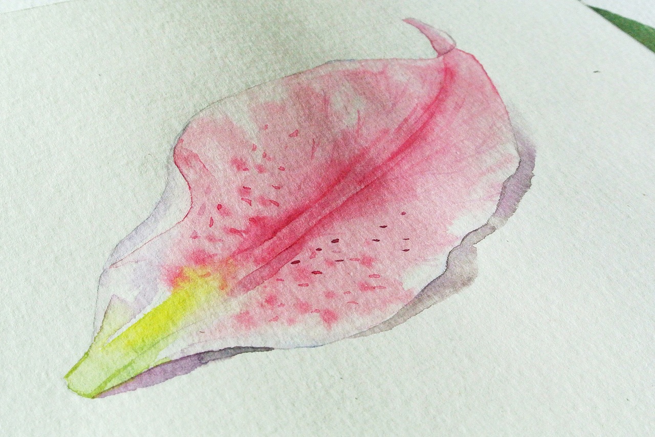 百合花写生（图ZNTExMjc3NDQ=） - 绘画 - 站酷设计师林田lisa原创素材 - 站酷ZCOOL