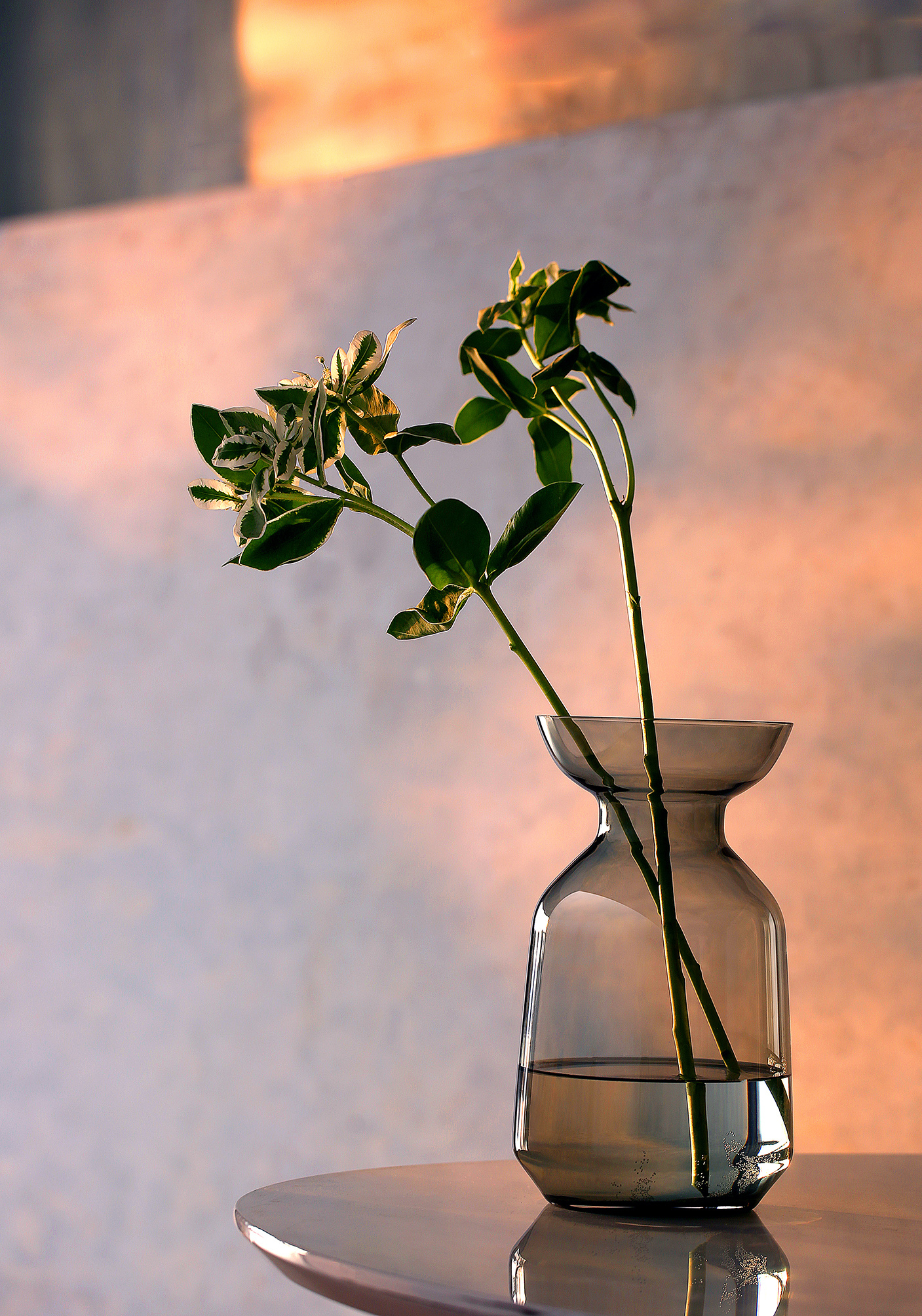 花瓶-vase|摄影|产品|上山小火车 - 原创作品 - 站酷 (zcool)