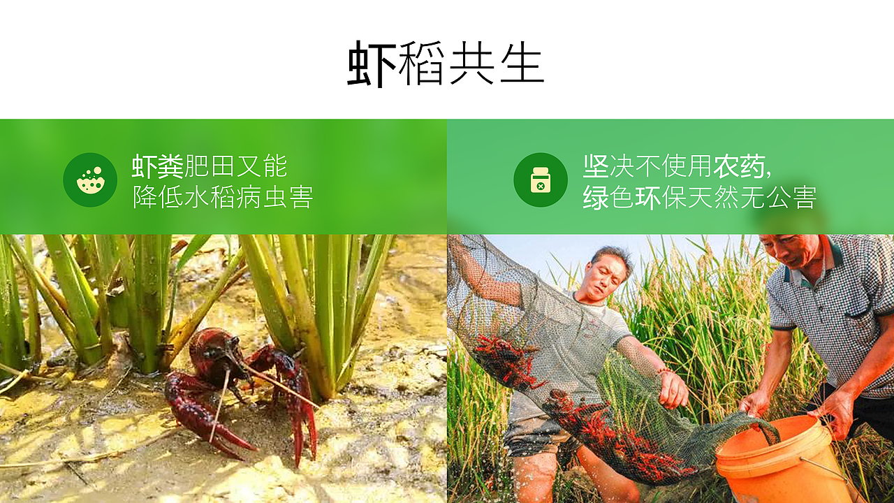 【农业方案】十亩良田的品牌宣传PPT