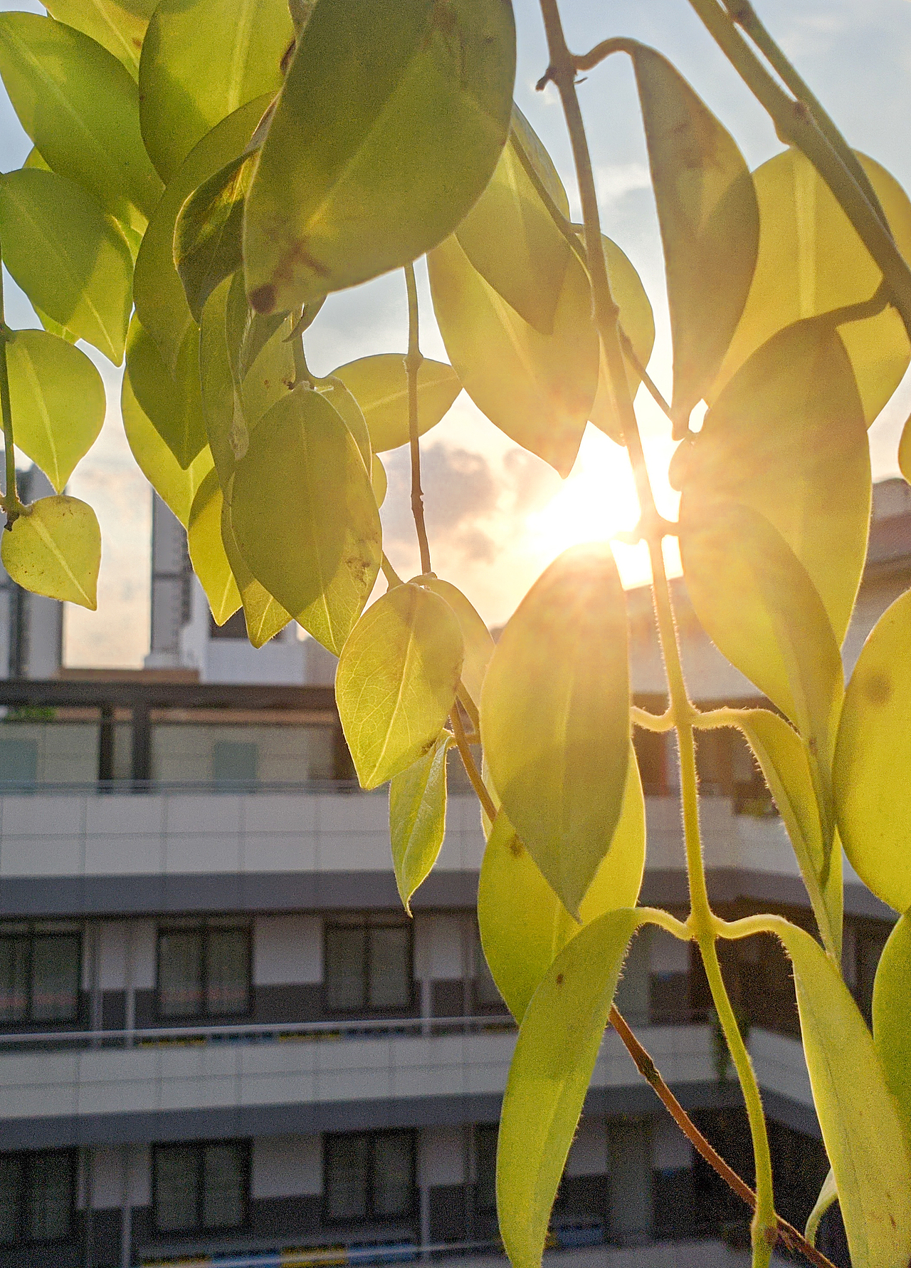 夕阳下的城（图ZMjE4NDg3MDI0） - 风光摄影 - 站酷设计师huangshize53原创素材 - 站酷ZCOOL