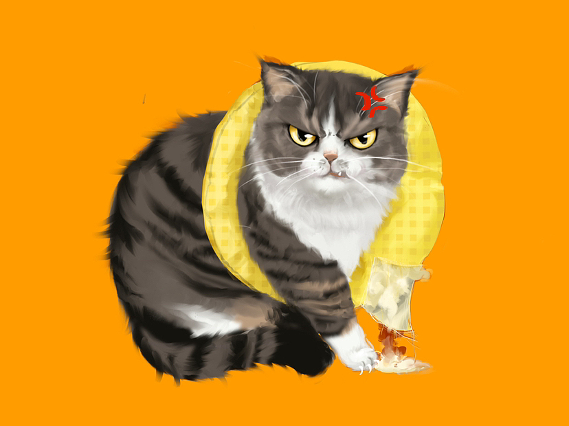 猫咪插画练习
