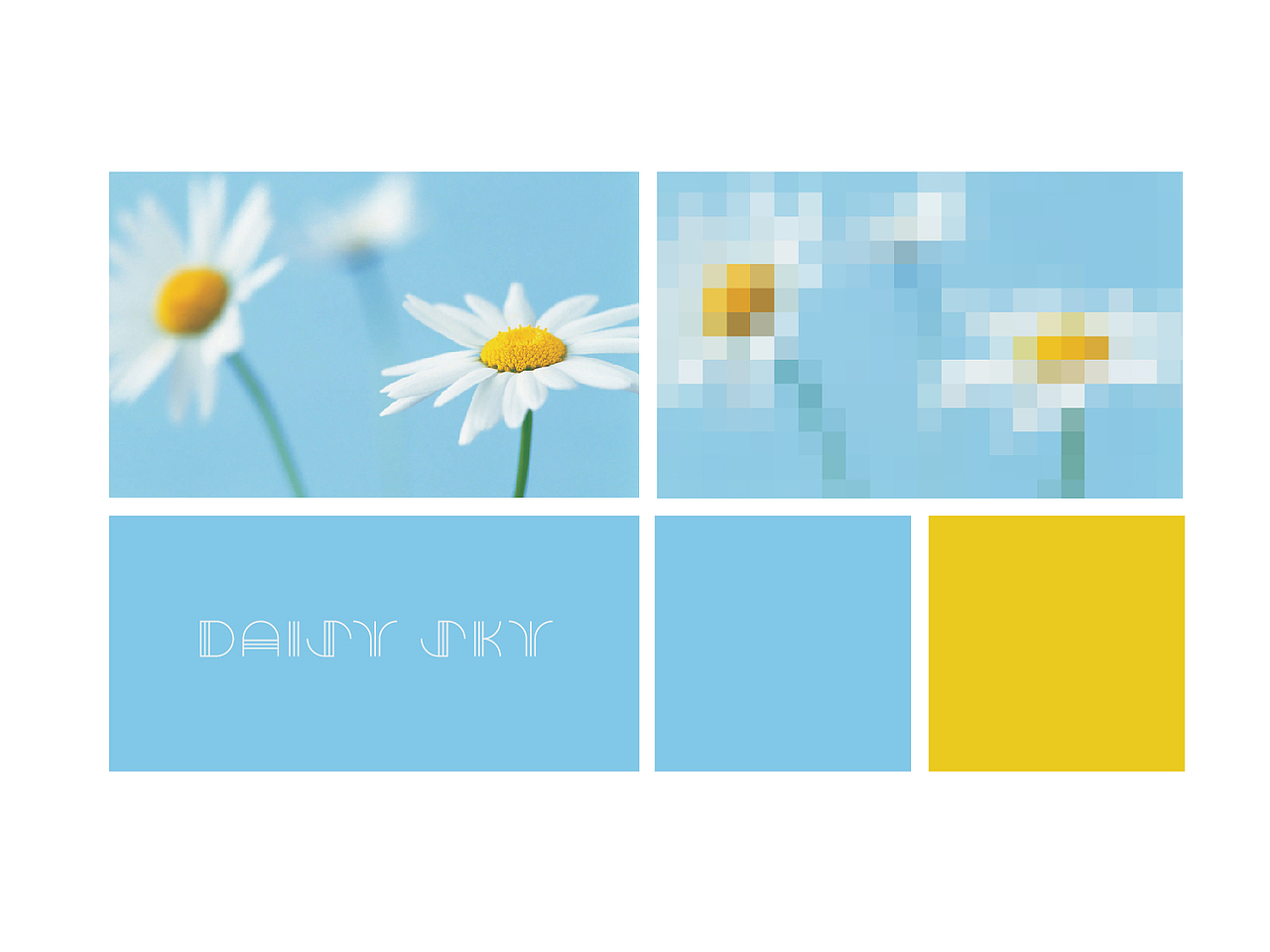 雏菊的天空 / 品牌视觉（图ZMTg2MTc5MTI=） - 品牌 - 站酷设计师阁楼妖怪原创素材 - 站酷ZCOOL