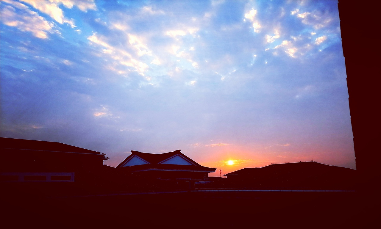 长春花蓝色的天空