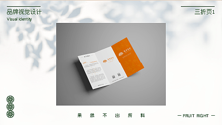 果不其然vi设计（水果店vi）水果店logo（图ZMjc3NjM1NjA4） - 品牌 - 站酷设计师咸咸咸咸的原创素材 - 站酷ZCOOL