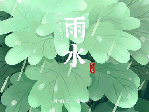 今日雨水