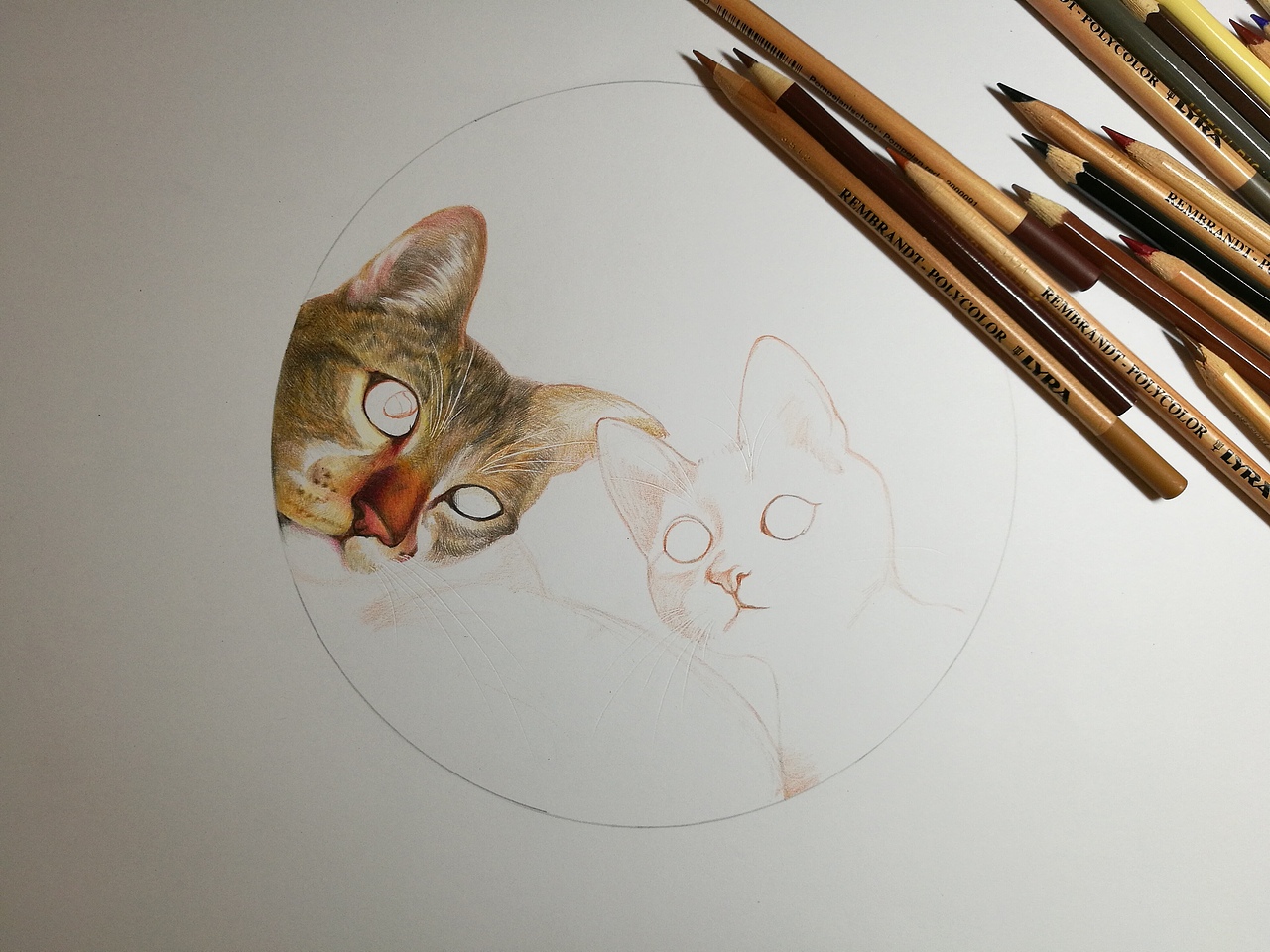 猫咪彩铅（图ZODU2NDU1NDA=） - 绘画 - 站酷设计师鱼京鱼鱼原创素材 - 站酷ZCOOL