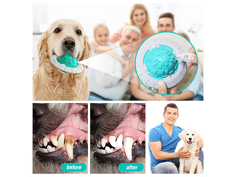 亚马逊狗狗磨牙飞碟球主宠互动玩具球（图ZMjg1NzQ5MDg0） - 电商 - 站酷设计师jsxzwsz12345原创素材 - 站酷ZCOOL