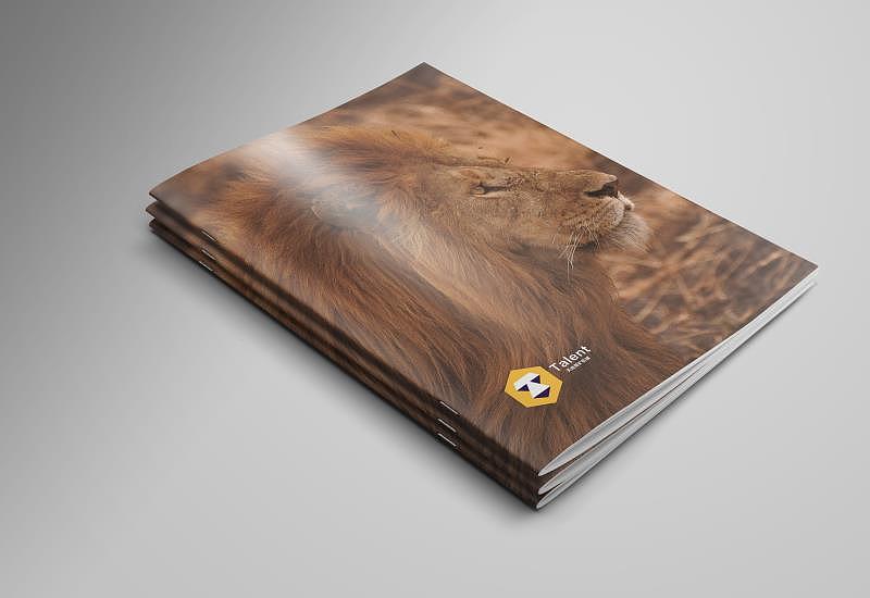 瓢虫设计新作-第一期