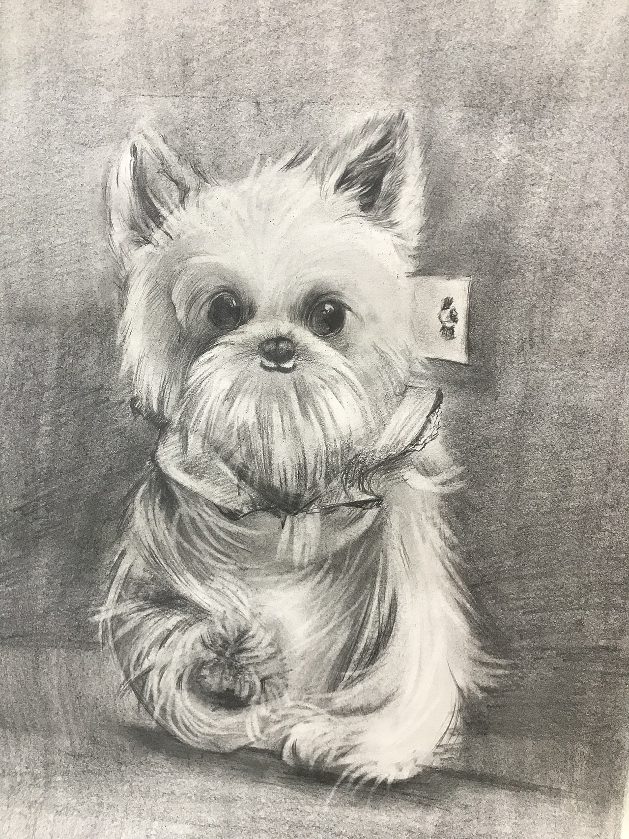 布谷书画素描学生作品辑（图ZMjIyNzY4NzUy） - 绘画 - 站酷设计师布谷书画馆原创素材 - 站酷ZCOOL