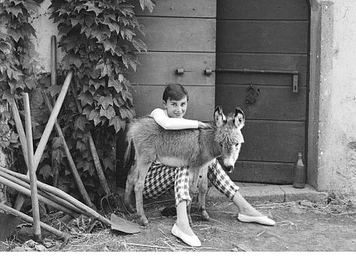 上色（個人主頁-ZMjQ2Mzk5OTI=） - 修圖/后期 - 站酷設(shè)計師海涯兒原創(chuàng)素材 - 站酷ZCOOL