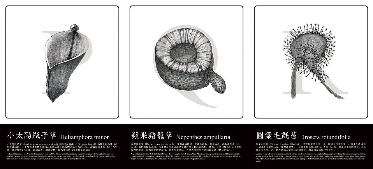 丑萌蟲蟲花—食蟲植物英文字體（圖ZMjIxOTU3MjA=） - 字體/字形 - 站酷設(shè)計(jì)師Howie豪仔原創(chuàng)素材 - 站酷ZCOOL