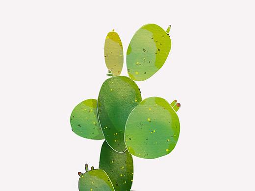 植物 插画