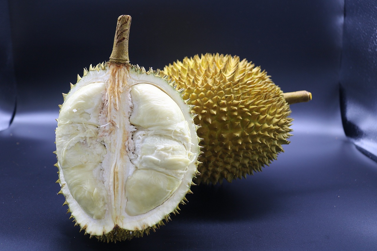 老男人果品老挝猫山王苦咖菲猫榴莲