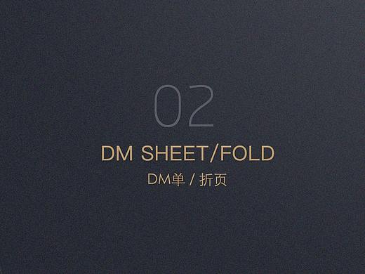 DM单/折页