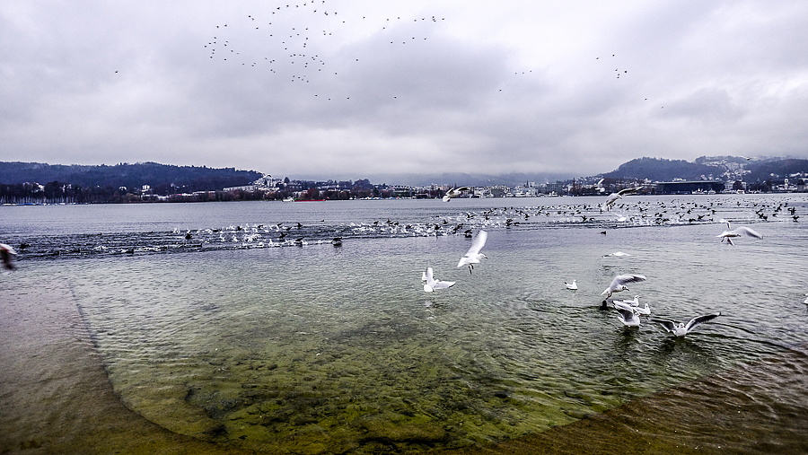 14年12月，瑞士-德国（图ZMjYyMTAyMzI=） - 风光摄影 - 站酷设计师blue_hermit原创素材 - 站酷ZCOOL