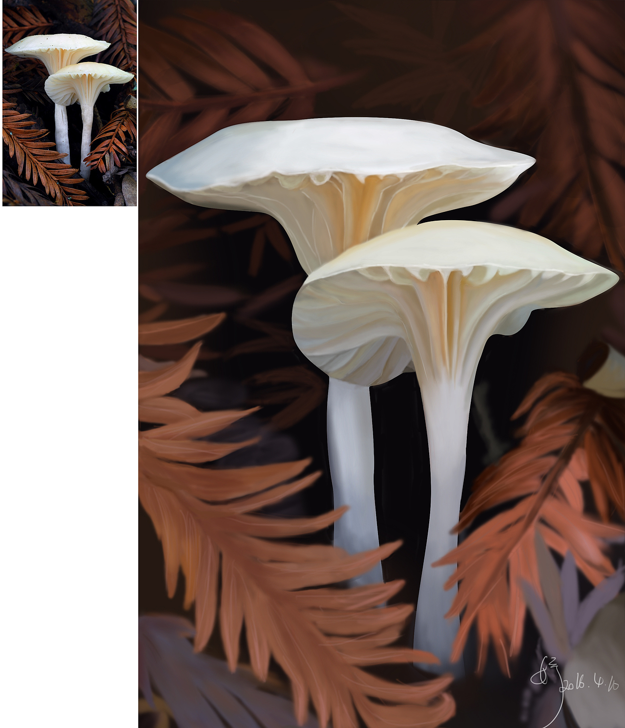 刚刚学习手绘,忙找工作了~~~