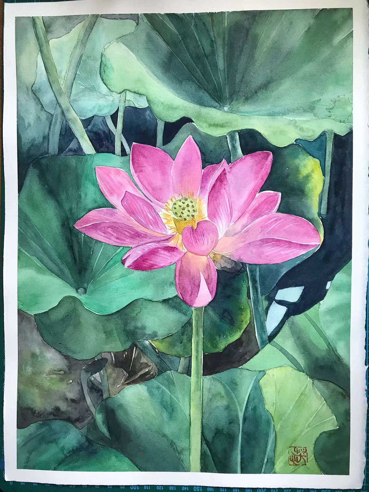 水彩静物风景花卉合集