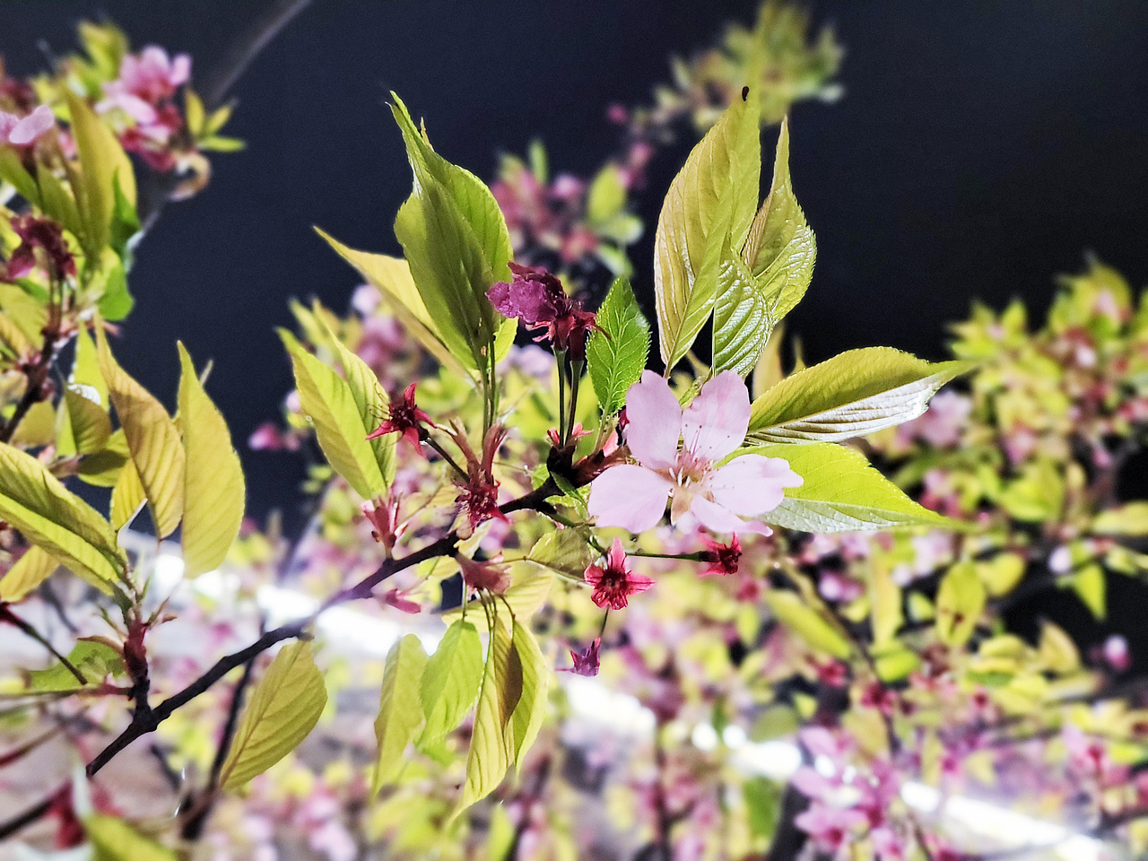 【人文摄影】梦想小镇