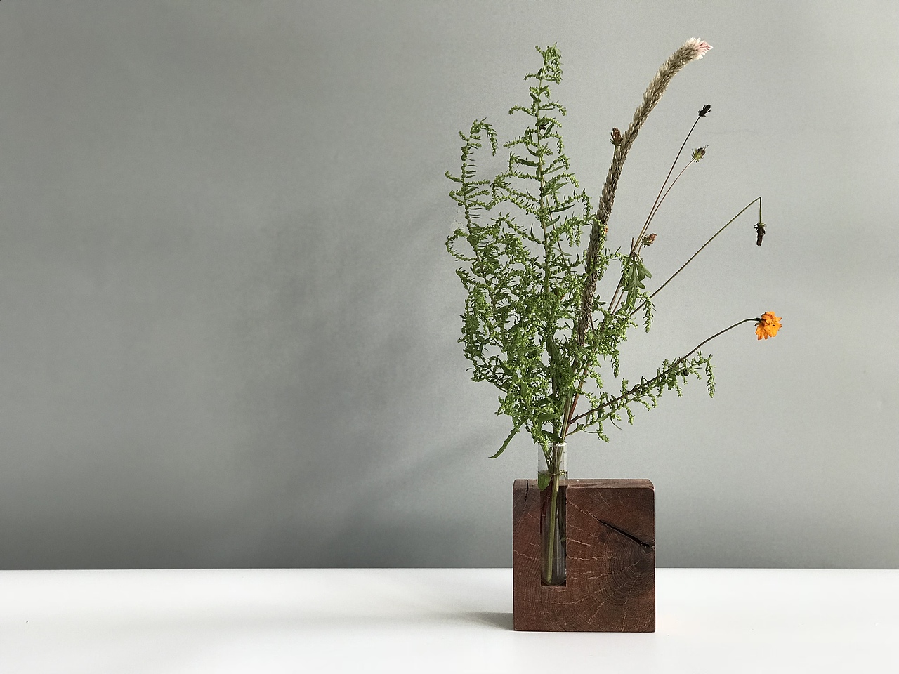 花器 Floral organ（图ZOTg0NTgwNjA=） - 实验艺术 - 站酷设计师谈木集原创素材 - 站酷ZCOOL