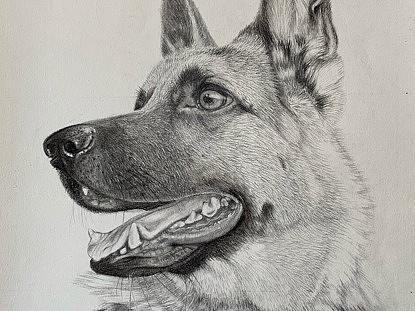 狼狗（个人主页-ZNTIyMTQzNDQ=） - 绘画 - 站酷设计师通辽李永春绘画原创素材 - 站酷ZCOOL