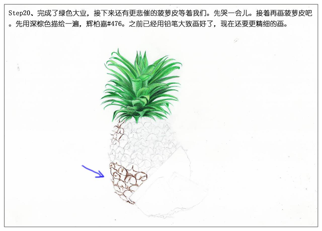 【驴大萌彩铅】手绘24节气水果图鉴 谷雨菠萝