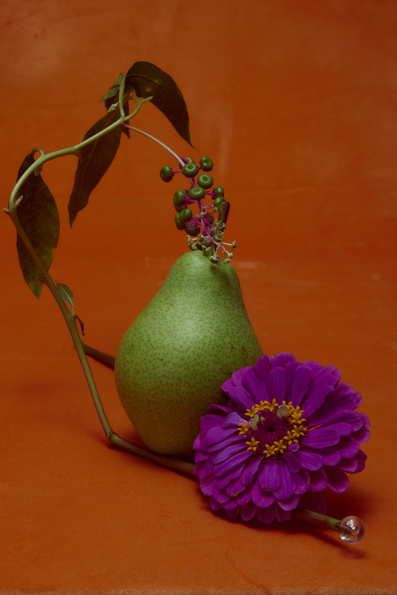 像画画一样拍摄（图ZMzUxNzEwMDg0） - 产品摄影 - 站酷设计师噪想Makemull原创素材 - 站酷ZCOOL