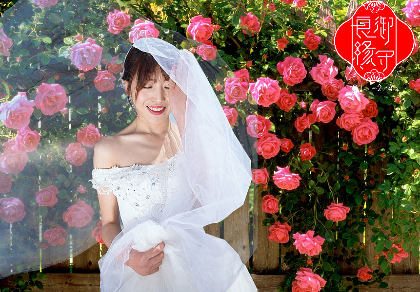 2018上半年練習(xí)（圖ZMTQyNjMxNTg0） - 宣傳物料 - 站酷設(shè)計(jì)師藍(lán)夢原創(chuàng)素材 - 站酷ZCOOL