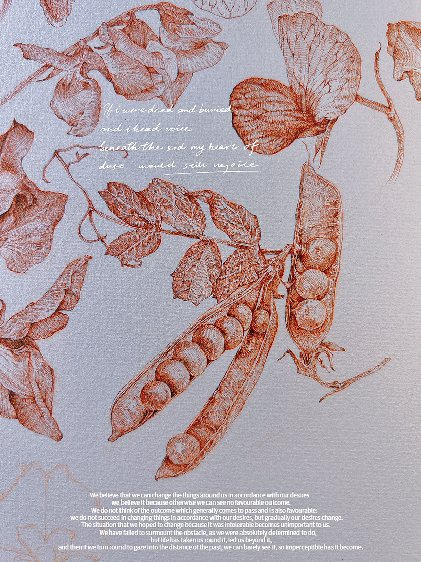 蘸水笔针管笔｜三种豆花科普（图ZMzY5Mzc3NDYw） - 艺术插画 - 站酷设计师CatCastleDZ原创素材 - 站酷ZCOOL