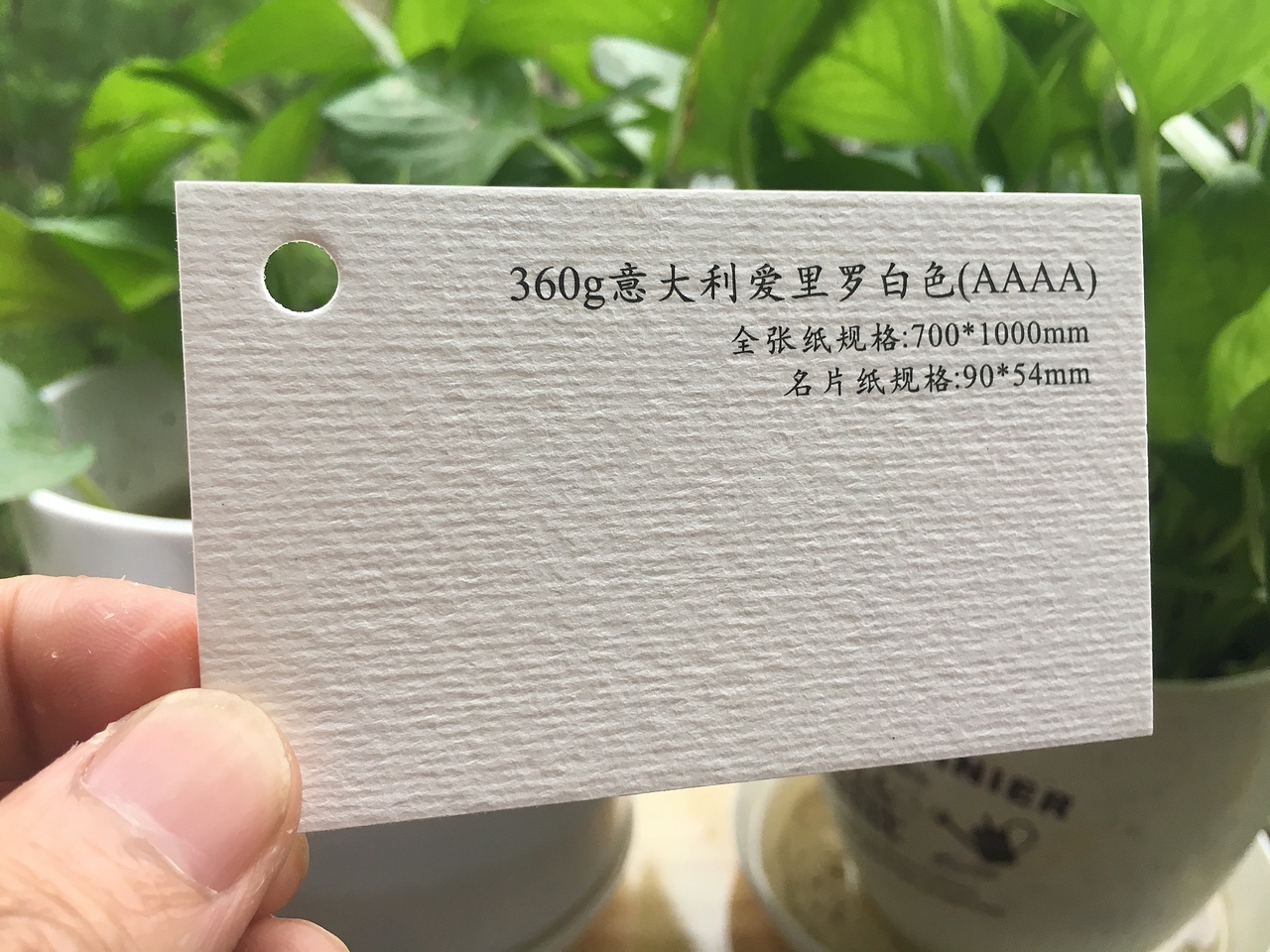 2019款特种纸艺术纸实物展示样册