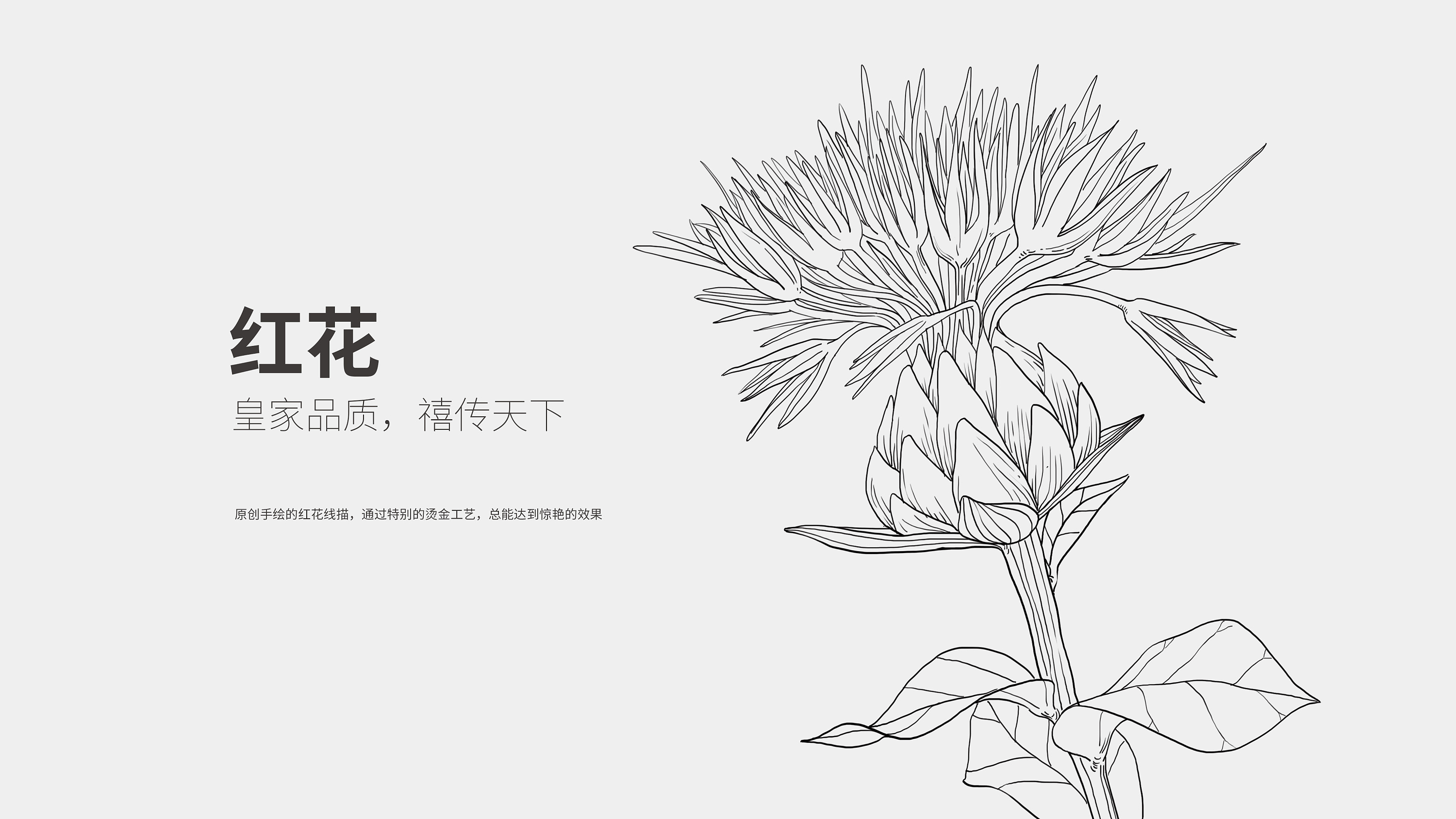 红花茶包装与logo