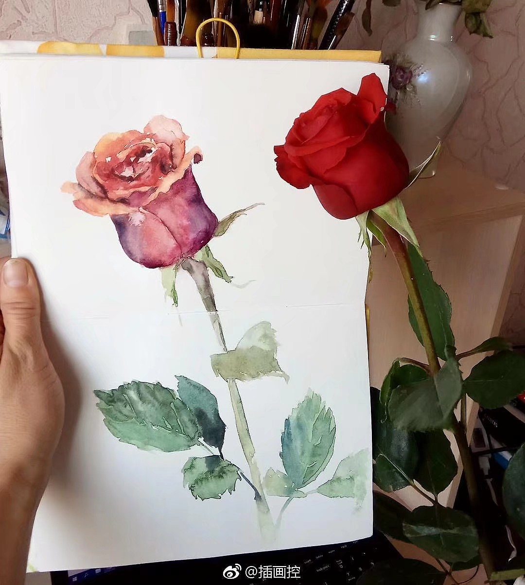 清新手绘（图ZMTI5Mjc0NTI0） - 艺术插画 - 站酷设计师一只虎斑喵呀原创素材 - 站酷ZCOOL